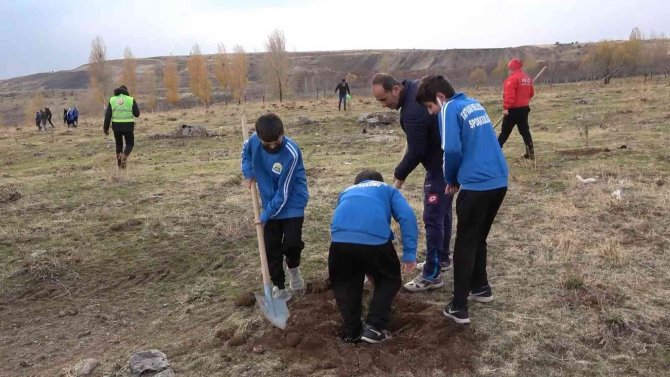 Tatvan’da Fidan Dikimi