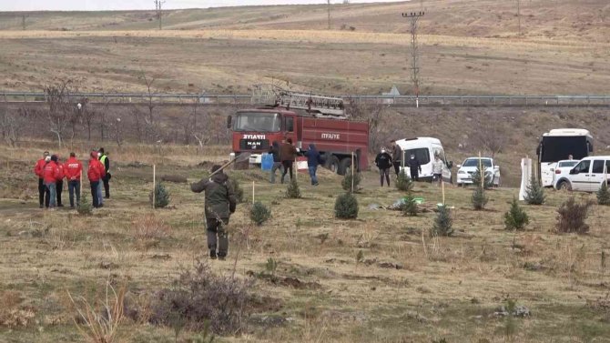 Tatvan’da Fidan Dikimi