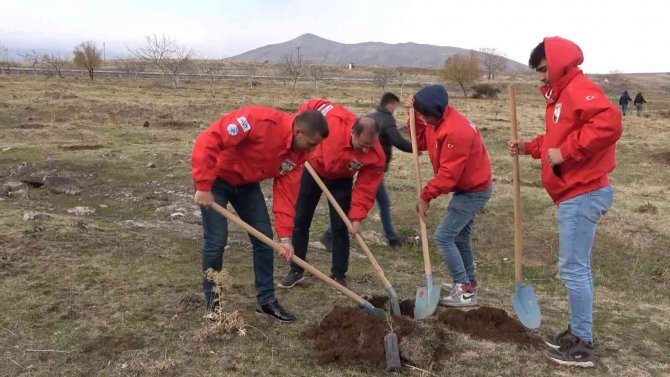 Tatvan’da Fidan Dikimi