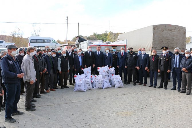 Atıl Araziler Fiğle Yeşeriyor
