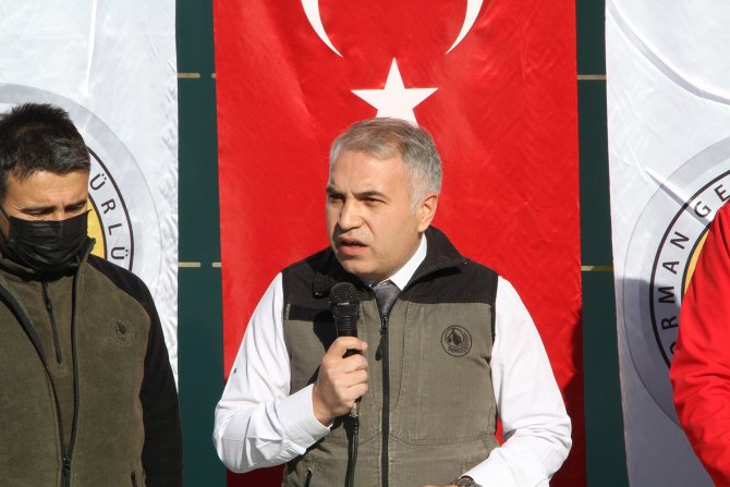 3 Ay Önce Yanan Orman, ’Milli Ağaçlandırma Günü’nde Yeniden Ağaçlandırıldı