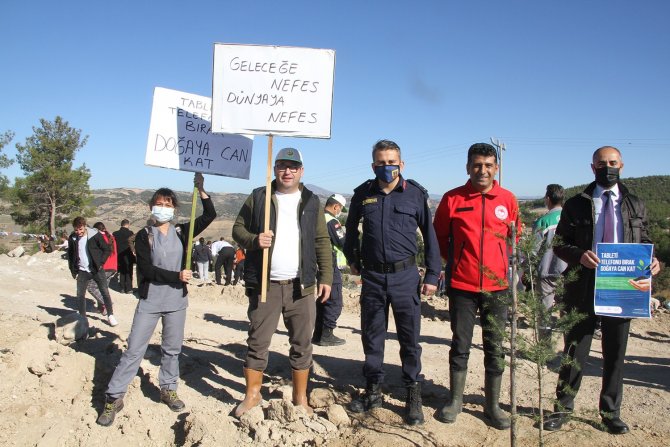3 Ay Önce Yanan Orman, ’Milli Ağaçlandırma Günü’nde Yeniden Ağaçlandırıldı