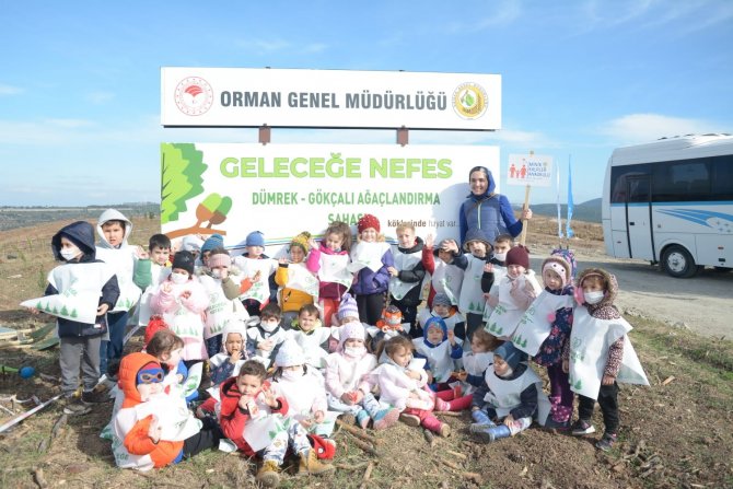 Çanakkale’de 43 Bin Fidan Toprakla Buluştu