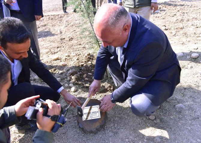 Ceylanpınar’da 23 Bin Fidan Toprakla Buluştu