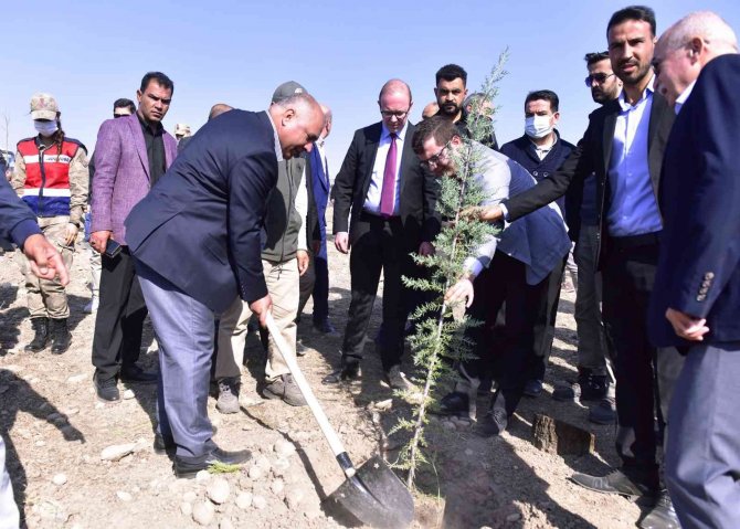 Ceylanpınar’da 23 Bin Fidan Toprakla Buluştu