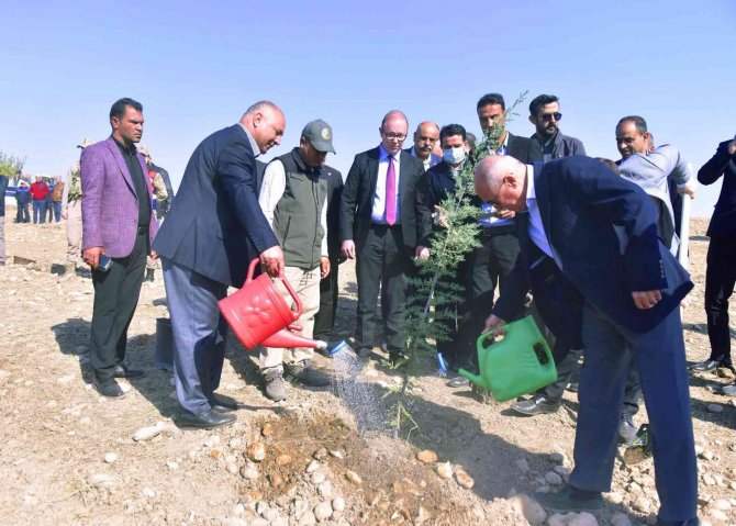 Ceylanpınar’da 23 Bin Fidan Toprakla Buluştu