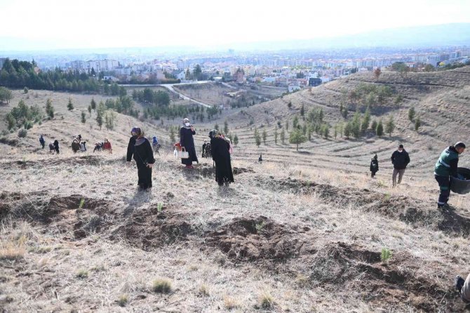 180 Kadın Kursiyerler 180 Fidanı Toprakla Buluşturdu