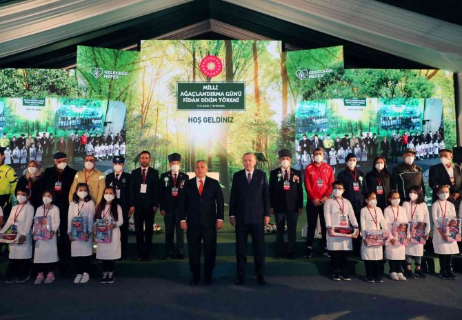 Cumhurbaşkanı Erdoğan, 81 İle 81 Millet Ormanı Kurulacağı Müjdesini Verdi