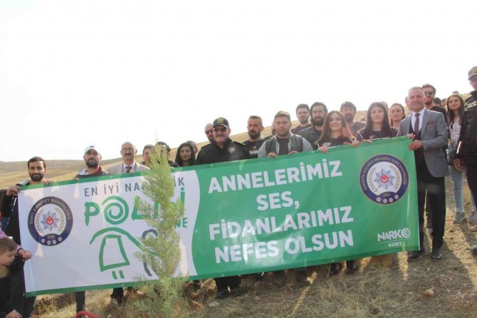 Siirt’te 231 Bin Fidan Toprakla Buluştu