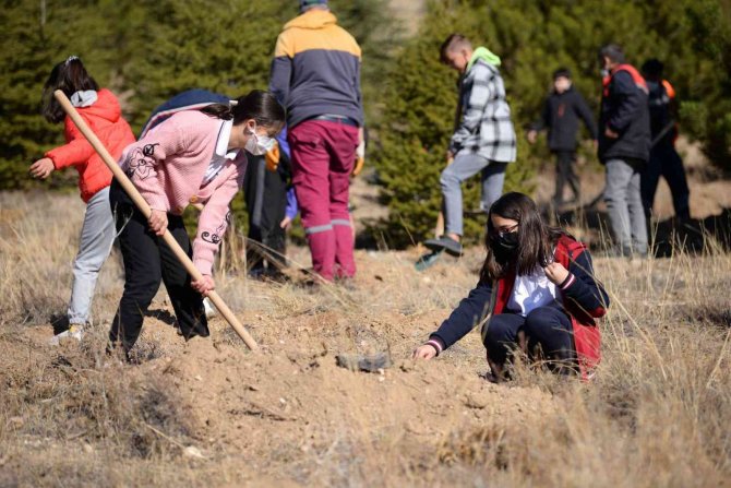 Geleceğe Nefes Olacak Fidanlar Toprakla Buluştu