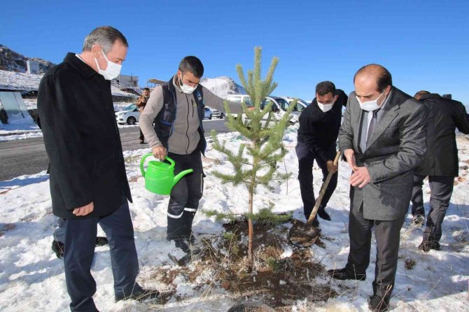 Hacılar Erciyes Kapı’da Fidanlar Toprakla Buluştu