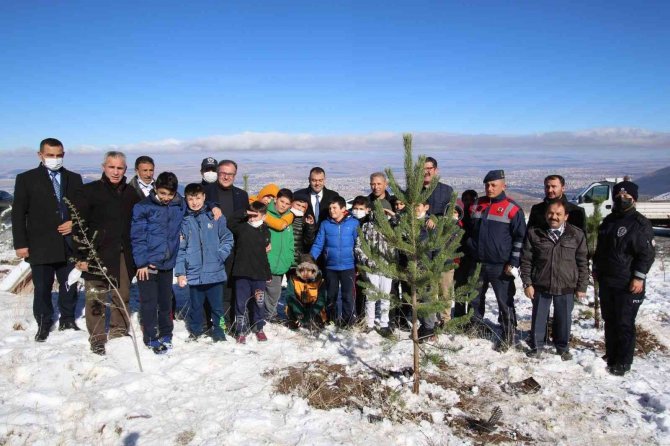 Hacılar Erciyes Kapı’da Fidanlar Toprakla Buluştu
