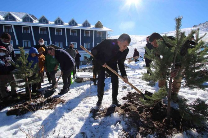 Hacılar Erciyes Kapı’da Fidanlar Toprakla Buluştu