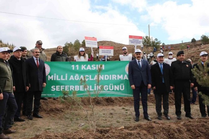 Çorum’da 1 Milyon 590 Bin Fidan Toprakla Buluştu