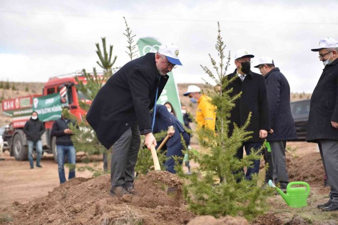 Çorum’da 1 Milyon 590 Bin Fidan Toprakla Buluştu