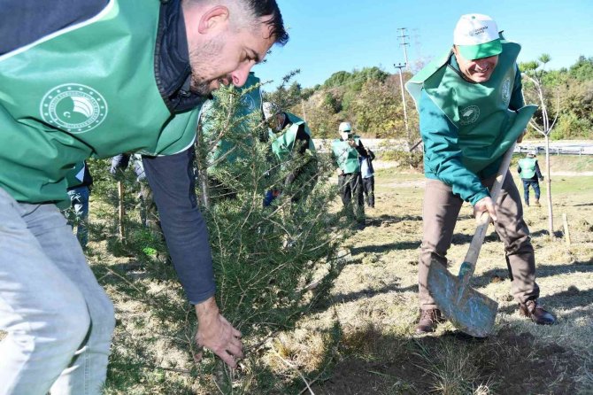 Altınova’da Fidanlar Toprakla Buluştu
