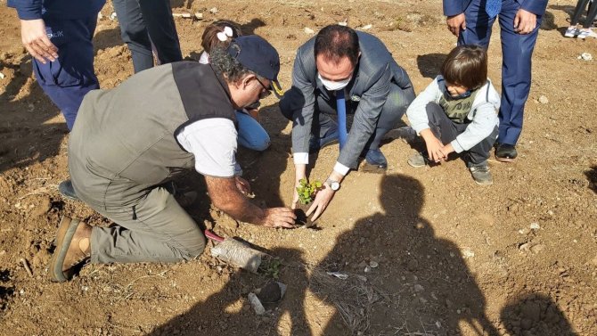 Datça’da Bin Adet Fidan Toprakla Buluştu
