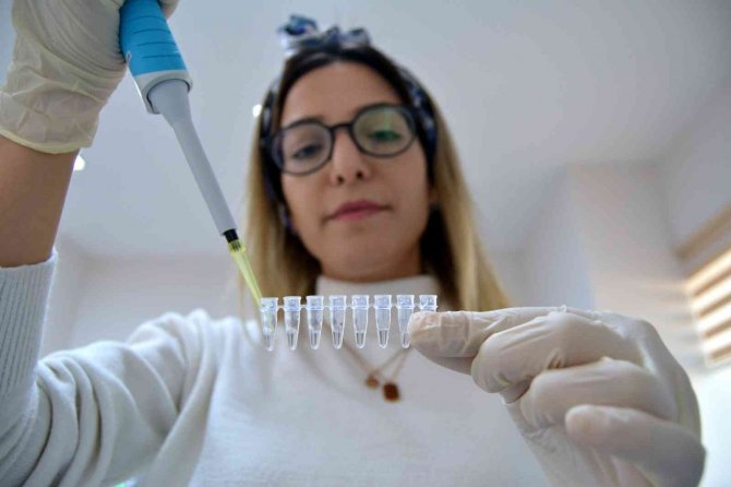 Türk Bilim Adamları, Dünyayı Saran Kuraklık Tehlikesine Çare Arıyor