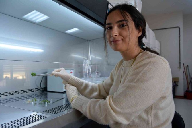Türk Bilim Adamları, Dünyayı Saran Kuraklık Tehlikesine Çare Arıyor