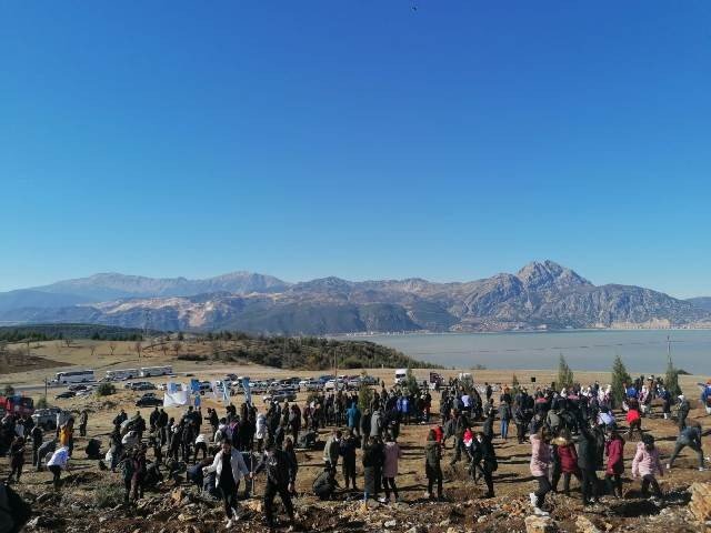 Eğirdir Yeniden Ardıç Kokacak