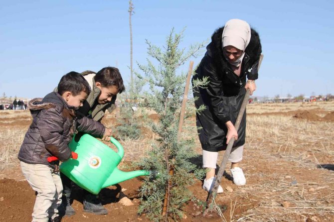 Elazığ’da ’Geleceğe Nefes Dünyaya Nefes’ Etkinliğinde 23 Bin Fidan Toprakla Buluştu