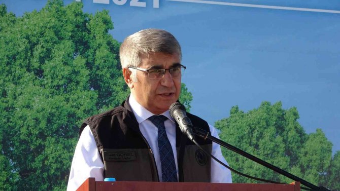 Karabük’te Öğrenciler Binlerce Fidanı Toprakla Buluşturuyor