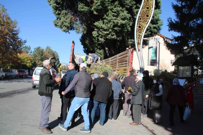 Gediz’de 10 Bin Fidan Dağıtıldı