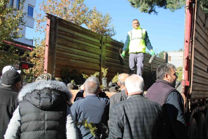 Gediz’de 10 Bin Fidan Dağıtıldı