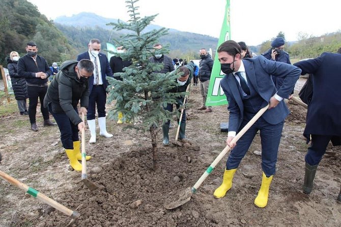 Fatsa’da Dikilen Fidan Sayısı 5 Bin 500’e Ulaştı