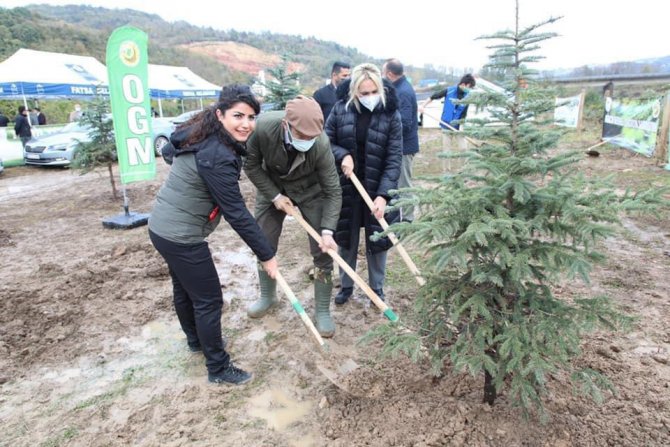 Fatsa’da Dikilen Fidan Sayısı 5 Bin 500’e Ulaştı