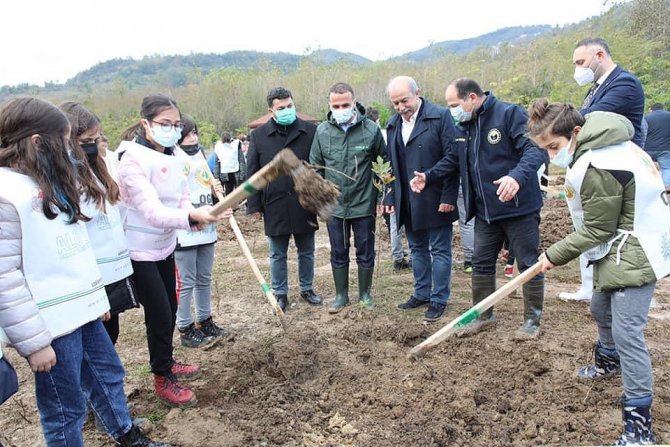 Fatsa’da Dikilen Fidan Sayısı 5 Bin 500’e Ulaştı