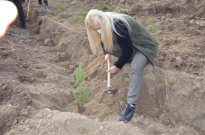 Hanönü’de Bin 500 Fidan Toprakla Buluştu