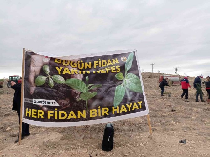 Iğdır’da ‘Geleceğe Nefes, Dünyaya Nefes’ Fidan Dikim Seferberliği