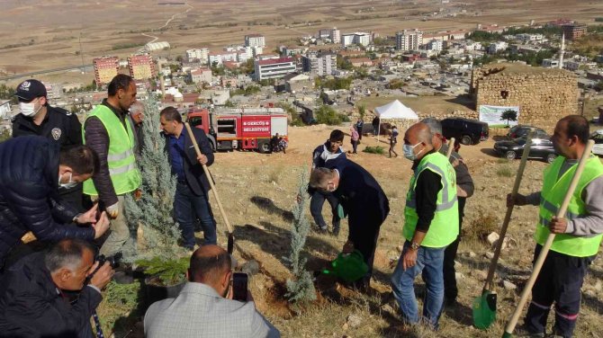 Milli Ağaçlandırma Gününde Gercüş’te Fidanlar Toprakla Buluşturuldu