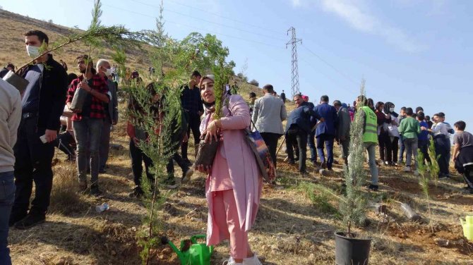 Milli Ağaçlandırma Gününde Gercüş’te Fidanlar Toprakla Buluşturuldu