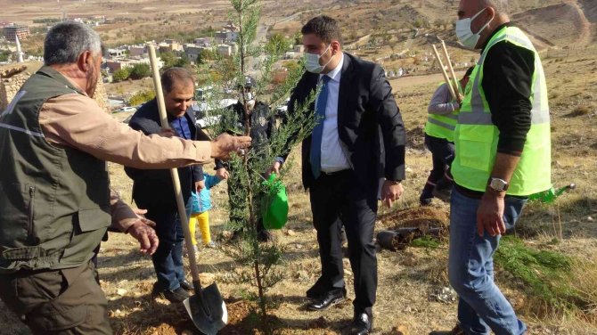 Milli Ağaçlandırma Gününde Gercüş’te Fidanlar Toprakla Buluşturuldu