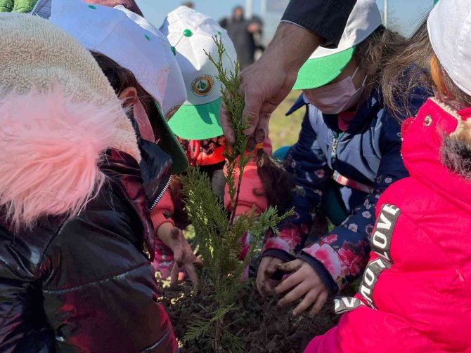 Minikler Doğayla, Fidanlar Da Toprakla Buluştu