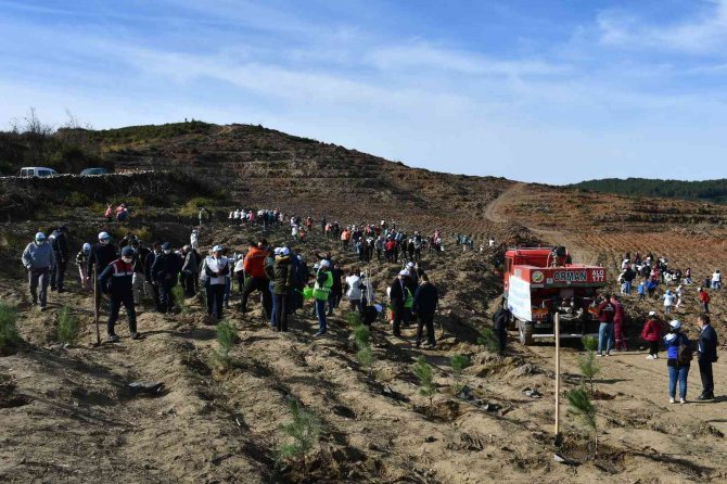 Söke’de 11 Kasım Milli Ağaçlandırma Günü Etkinliği Gerçekleştirildi