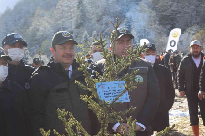 Giresun’da 80 Bin Fidan Toprakla Buluşturuldu
