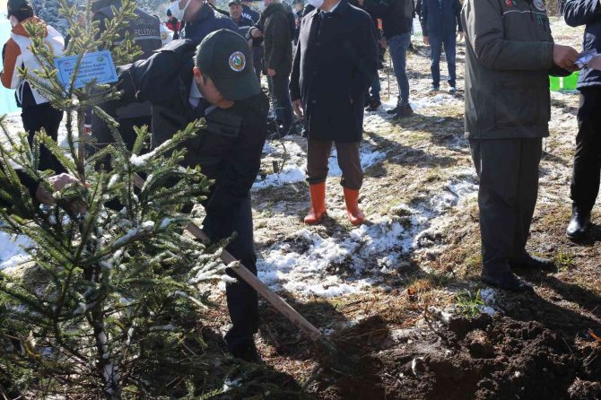 Giresun’da 80 Bin Fidan Toprakla Buluşturuldu