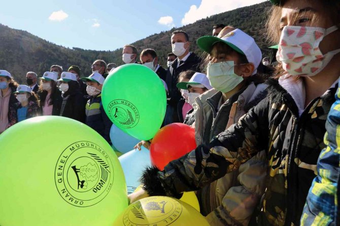 Gümüşhane’de Milli Ağaçlandırma Gününde Binlerce Fidan Toprakla Buluştu
