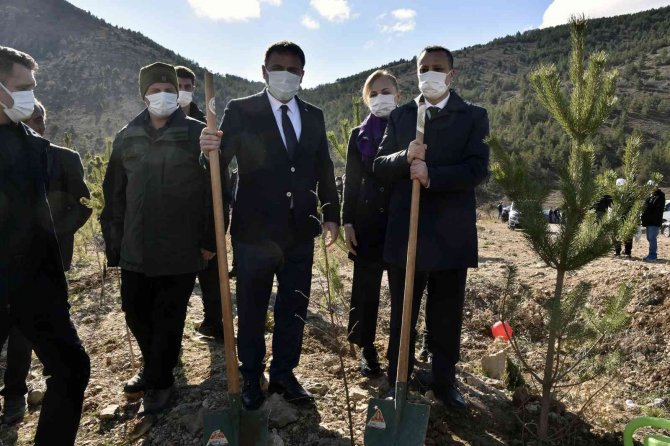 Gümüşhane’de Milli Ağaçlandırma Gününde Binlerce Fidan Toprakla Buluştu