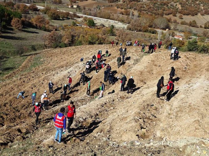 Hisarcık’ta 300 Fidan Toprakla Buluştu