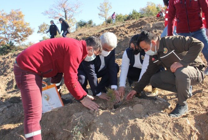 Hisarcık’ta 300 Fidan Toprakla Buluştu