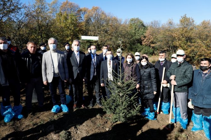 Bin 500 Fidan Toprakla Buluştu