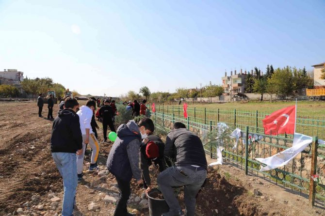 Kahta’da 2 Bin 23 Fidan Dikildi