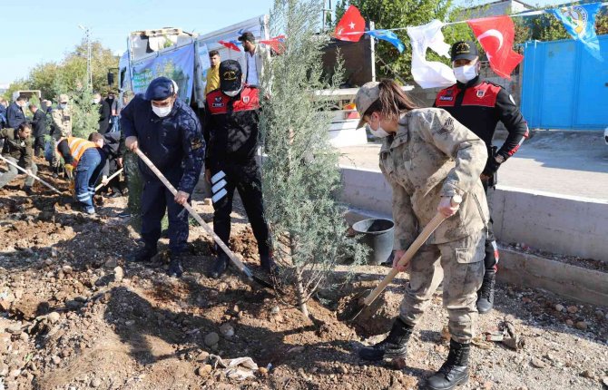 Kahta’da 2 Bin 23 Fidan Dikildi