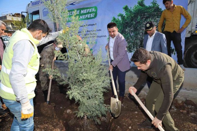 Kahta’da 2 Bin 23 Fidan Dikildi