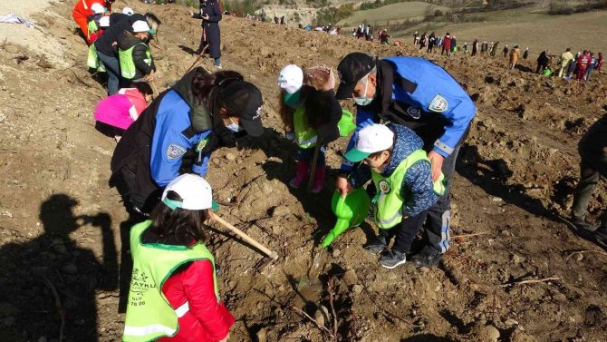 Karabük’te Öğrenciler Binlerce Fidanı Toprakla Buluşturuyor