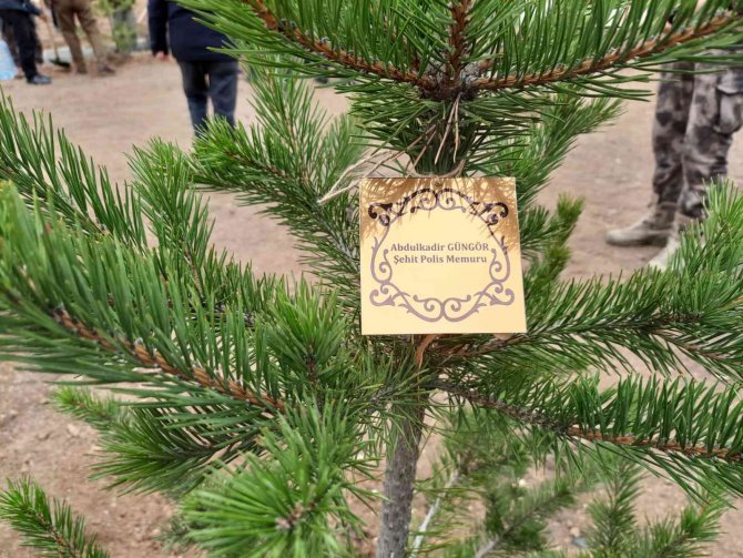 Kars’ta Fidanlar Toprakla Buluştu